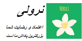 طراحی فروشگاه اینترنتی نرولی